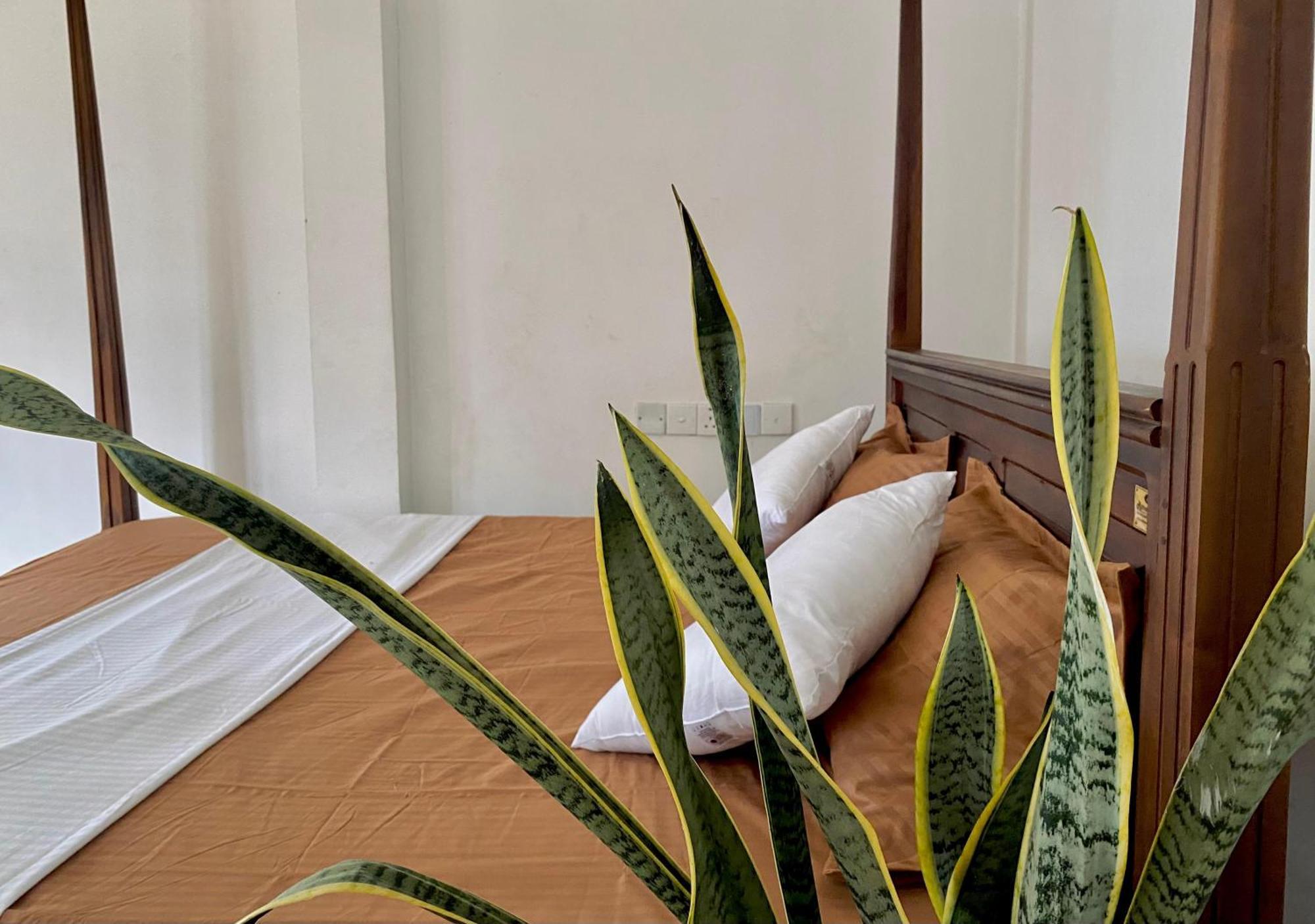 Sasmika Villa Surf And Yoga Hostel Weligama Zewnętrze zdjęcie